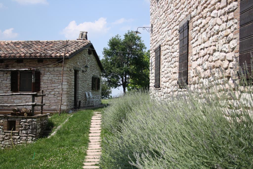 Agriturismo Valdifiori Sassoferrato Kültér fotó